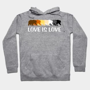 Love is Love Bear Pride Hoodie